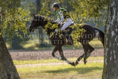 Da Bin Ich C Kaya THOMSEN