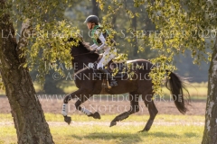 Da Bin Ich C Kaya THOMSEN