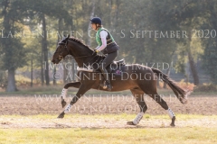 Sf Sparkling Sigi Dorothea FELD