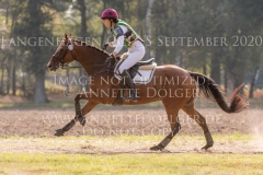 Madjarin den Tip Amelie COLSMAN