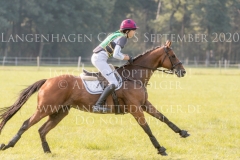 Madjarin den Tip Amelie COLSMAN