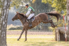 Fayola M Brandon SCHAEFER-GEHRAU