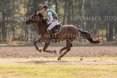 Fayola M Brandon SCHAEFER-GEHRAU