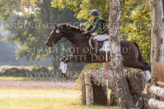 Corodas -C Lotte PALMGREN