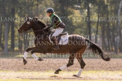 Corodas -C Lotte PALMGREN