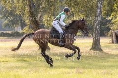 Herr Cooles Classico Beeke JANKOWSKI