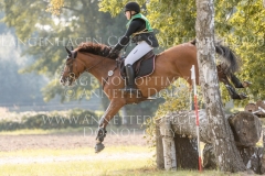 Teqila Ruf Maxima HOMOLA