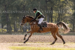 Teqila Ruf Maxima HOMOLA