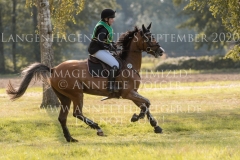 Teqila Ruf Maxima HOMOLA