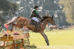 Teqila Ruf Maxima HOMOLA