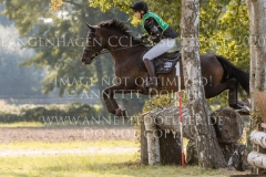 Mulligan's Rivellina B Lene WACHTLER