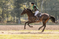 Mulligan's Rivellina B Lene WACHTLER