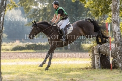 Mount Pleasant Konstantin HARTING