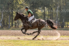 Mount Pleasant Konstantin HARTING