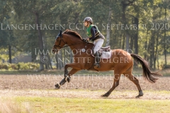 Volturi 3 Maicke BLEUZE