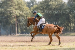 Chintano 7 Nicholas GOLDBECK