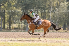 Horseware's Barny Kaya THOMSEN