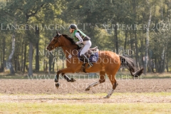 Horseware's Barny Kaya THOMSEN