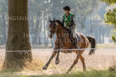 Elton VDR Henna Friederike GRUELLICH