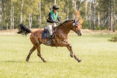 Elton VDR Henna Friederike GRUELLICH