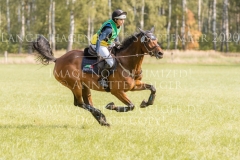 Feline Louise ROMEIKE