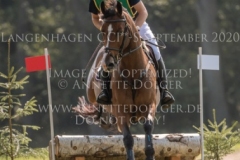 Ballinaguilkey Velvet Niklas BSCHORER