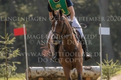 Ballinaguilkey Velvet Niklas BSCHORER