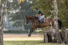 Ballinaguilkey Velvet Niklas BSCHORER