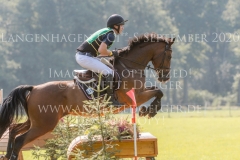 Ballinaguilkey Velvet Niklas BSCHORER