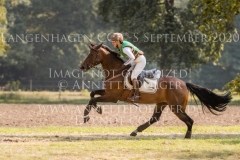 Quaentchen 2 Petra GLINSKI