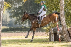 Guccimo R OLD Emily ROBERG