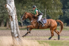 Ginger Gold Julika SCHENKMANN