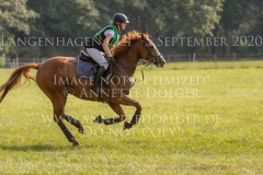 Ginger Gold Julika SCHENKMANN