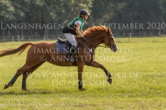 Ginger Gold Julika SCHENKMANN