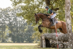 Ballinaguilkey Velvet Niklas BSCHORER