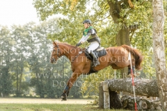 Celebration II Antonia KNAAK