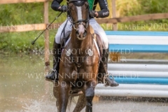 Pk Indian Summer Nicolai ALDINGER