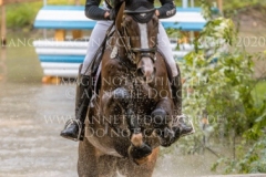 Pk Indian Summer Nicolai ALDINGER