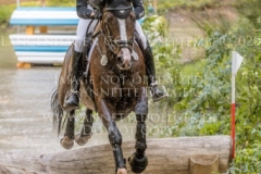 Pk Indian Summer Nicolai ALDINGER