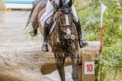 Pk Indian Summer Nicolai ALDINGER