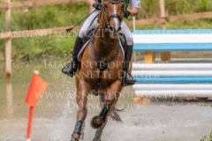 Belfast 35 Andreas DIBOWSKI