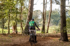 Maj Jonna Ziebell Fahrrad