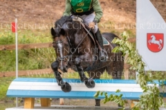 Newtownbarry Willow Stephan DUBSKY