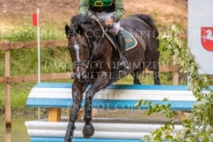 Newtownbarry Willow Stephan DUBSKY