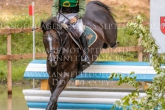 Newtownbarry Willow Stephan DUBSKY