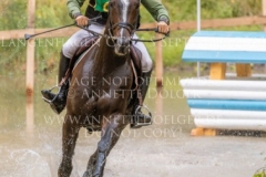 Newtownbarry Willow Stephan DUBSKY