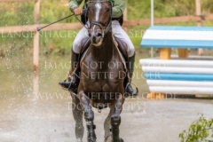 Newtownbarry Willow Stephan DUBSKY