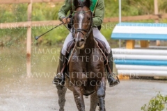 Newtownbarry Willow Stephan DUBSKY