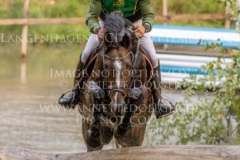 Newtownbarry Willow Stephan DUBSKY