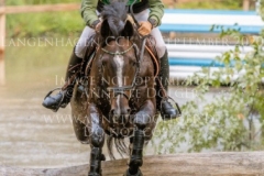 Newtownbarry Willow Stephan DUBSKY